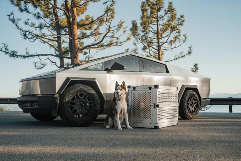 Tesla cyber truck